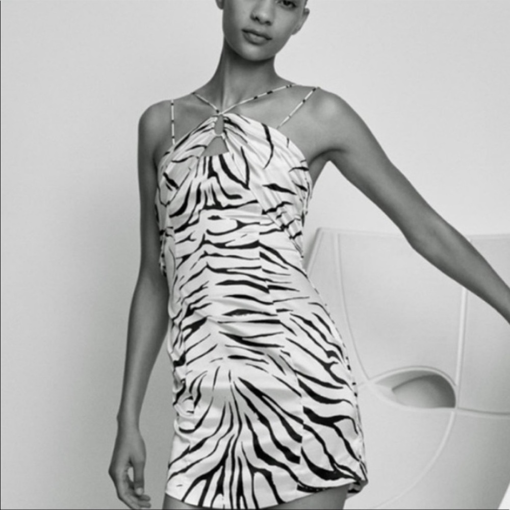ZARA Zebra print / Animal Print satin mini dress XS NEW